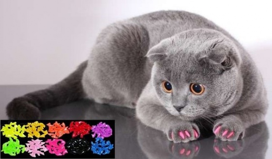 Антицарапки для кошек Пет Фешн разноцветные