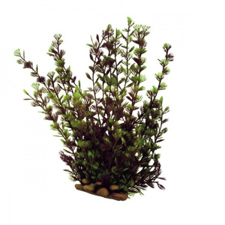 ArtUniq Cabomba 15 - Искусственное растение Кабомба, 15 см