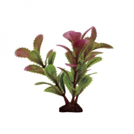 ArtUniq Proserpinaca red-green Set 6x10 - Набор искусственных растений Прозерпинака красно-зеленая, 