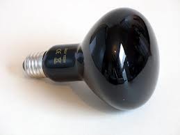 Лампа ReptiZoo 100w Nightlow D80100