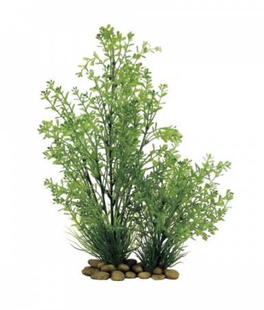 ArtUniq Rotala 30 - Искусственное растение Ротала, 30 см 