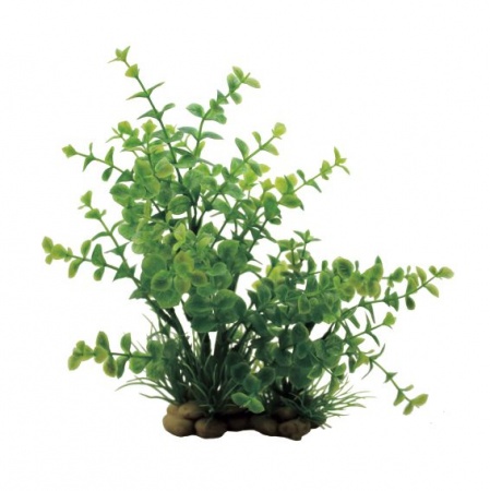 ArtUniq Lysimachia 20 - Искусственное растение Лизимахия, 20 см
