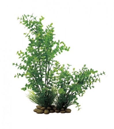 ArtUniq Lysimachia 30 - Искусственное растение Лизимахия, 30 см 