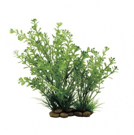 ArtUniq Rotala 20 - Искусственное растение Ротала, 20 см 
