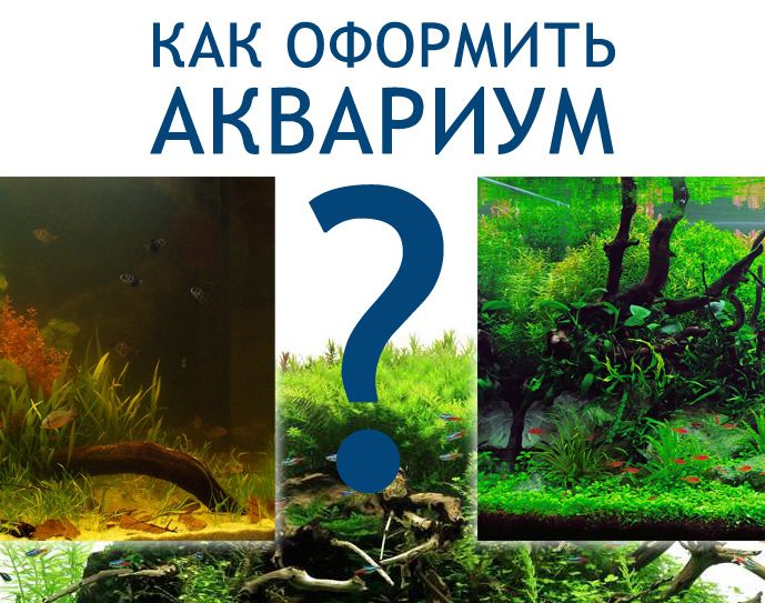Как оформить аквариум?